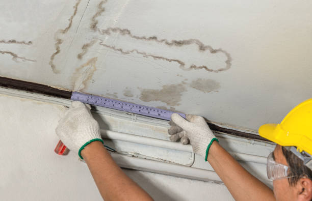 Reliable Water Damage contractor in Wilson's Mills, NC by Water Damage Irwin